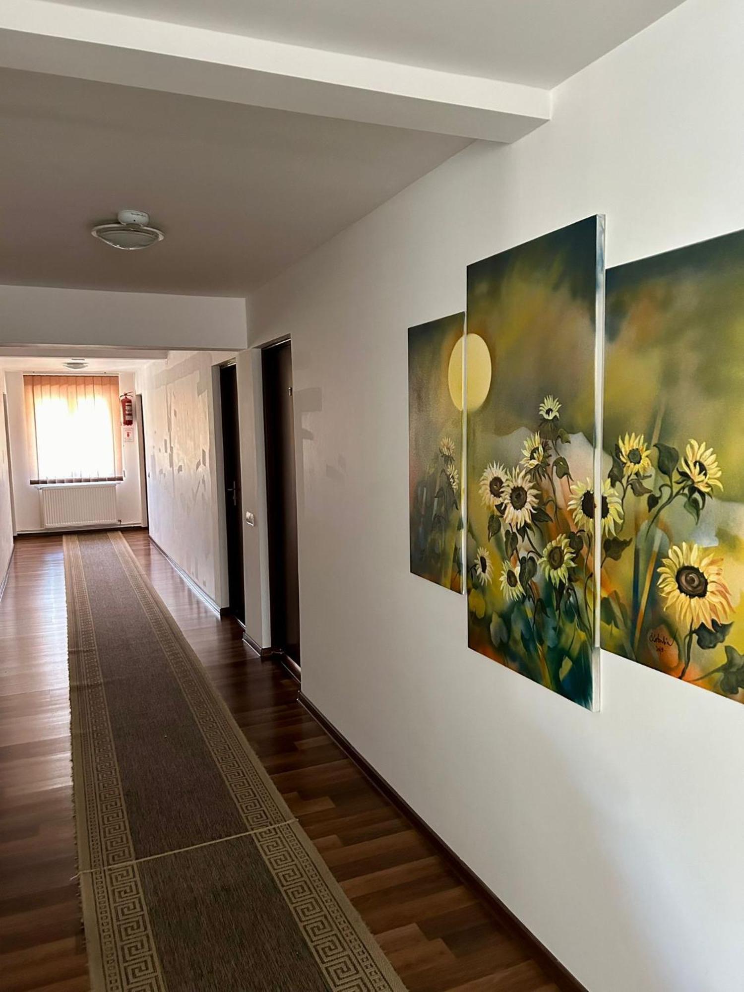 Aranykakas Etterem Es Panzio Bed & Breakfast Sîndominic Dış mekan fotoğraf
